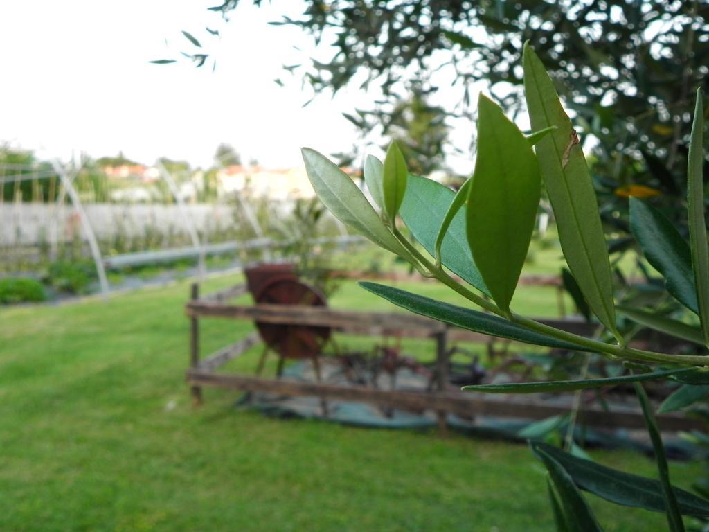 Agriturismo 30 Moniga del Garda Buitenkant foto